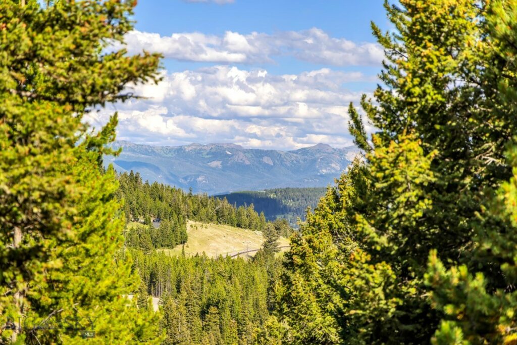 Lot 2 Wheatgrass Meadows, Big Sky MT 59716