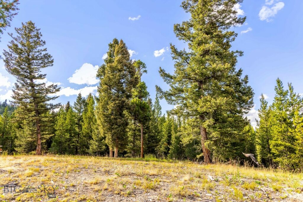 Lot 2 Wheatgrass Meadows, Big Sky MT 59716