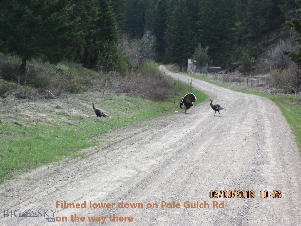 Lot 357 Pole Gulch Road, Three Forks MT 59752
