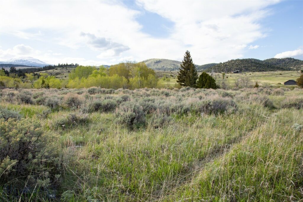 Lot 4 Wey’s View, McAllister MT 59740
