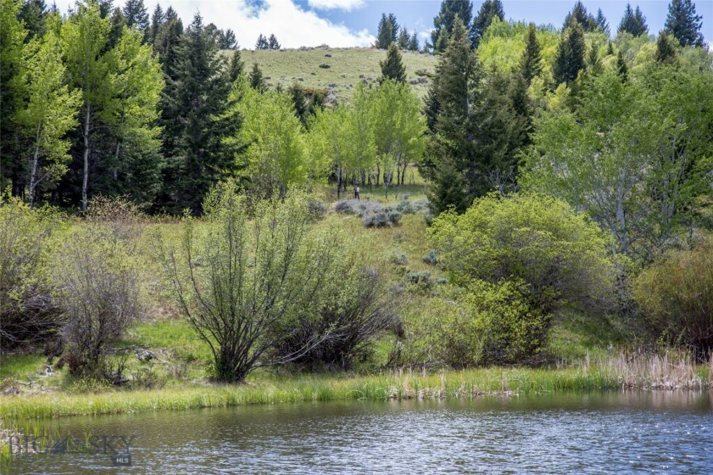 Lot 46A-1 Sun West Ranch, Cameron MT 59720