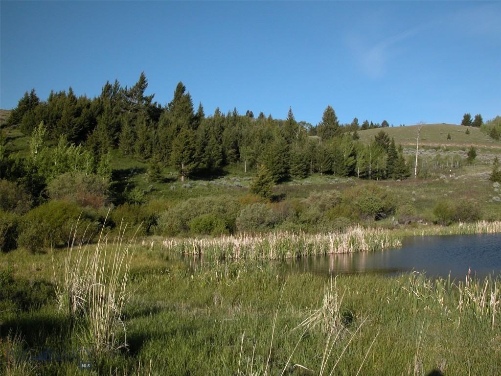 Lot 46A-1 Sun West Ranch, Cameron MT 59720