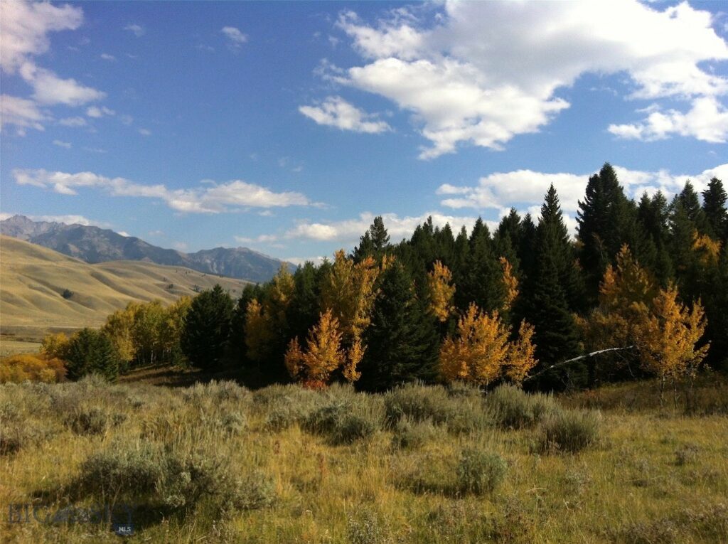 Lot 46A-1 Sun West Ranch, Cameron MT 59720