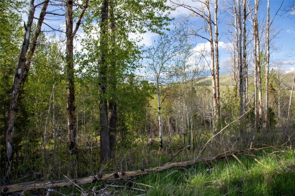 Lot 5 Wey’s View, McAllister MT 59740
