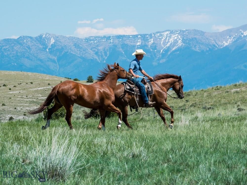 Lot 6 Horseshoe Gulch Road, Manhattan MT 59741