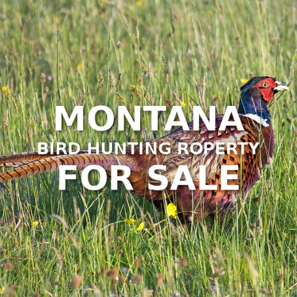 Montana Bird Hunting Property For Sale DELGER REAL ESTATE MONTANA RANCHES