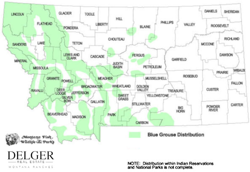 Montana Blue Grouse Hunting Property Map