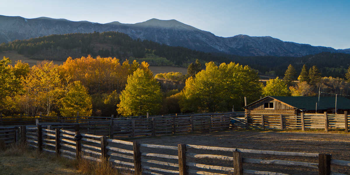 Ranch Real Estate Group Explore Montana Ranches for sale, farms, and