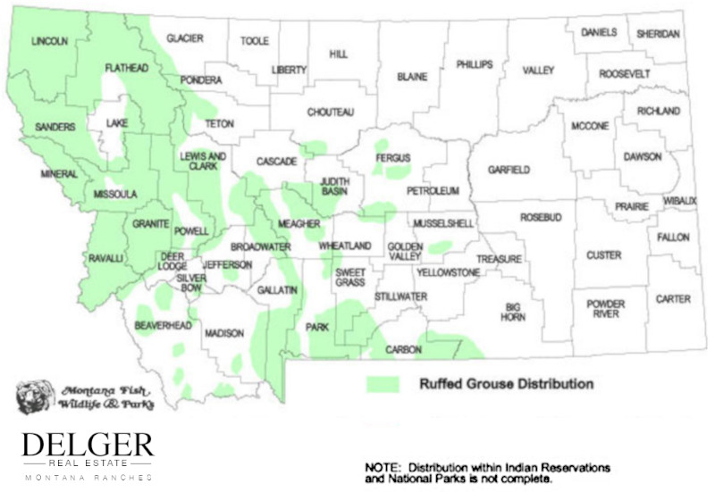 Montana Ruffed Grouse Hunting Property Map