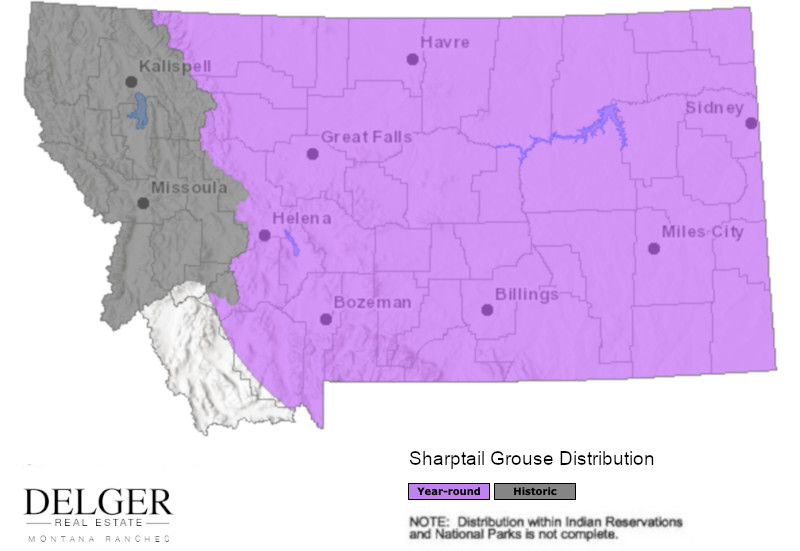 Montana Sharptail Grouse Hunting Property Map