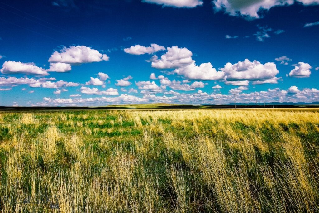 Muddy Creek Ranch, Cascade MT 59421