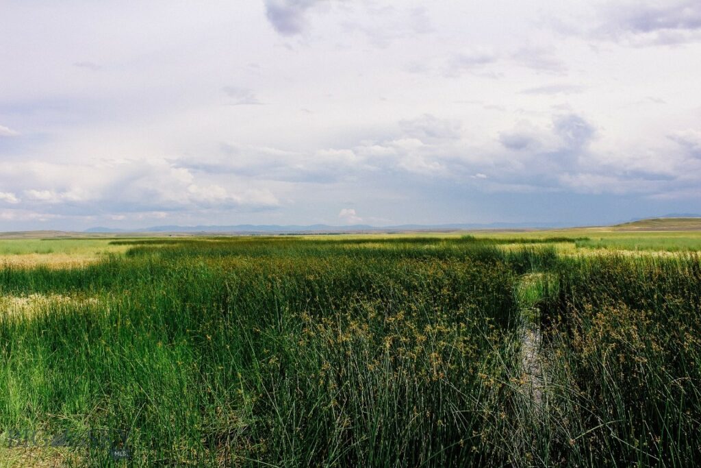 Muddy Creek Ranch, Cascade MT 59421