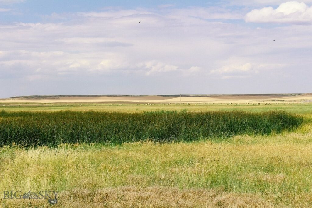 Muddy Creek Ranch, Cascade MT 59421