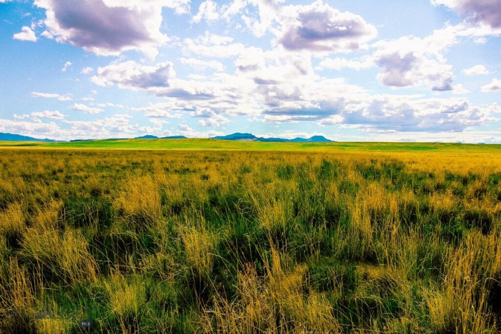 Muddy Creek Ranch, Cascade MT 59421