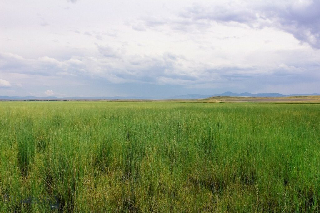 Muddy Creek Ranch, Cascade MT 59421