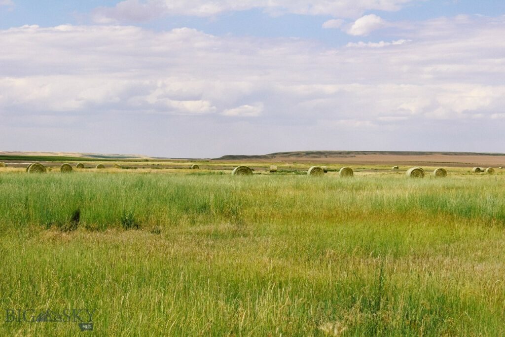 Muddy Creek Ranch, Cascade MT 59421