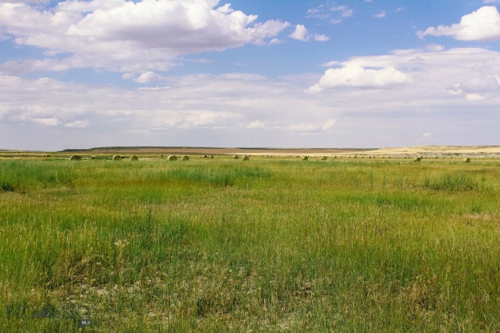 Muddy Creek Ranch, Cascade MT 59421