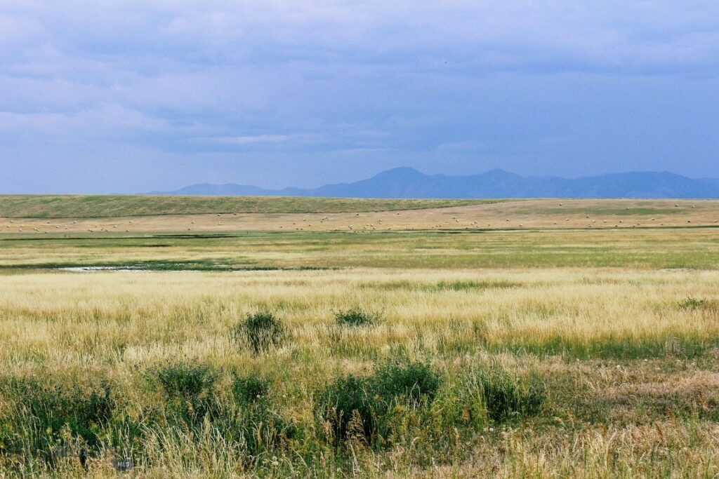 Muddy Creek Ranch, Cascade MT 59421