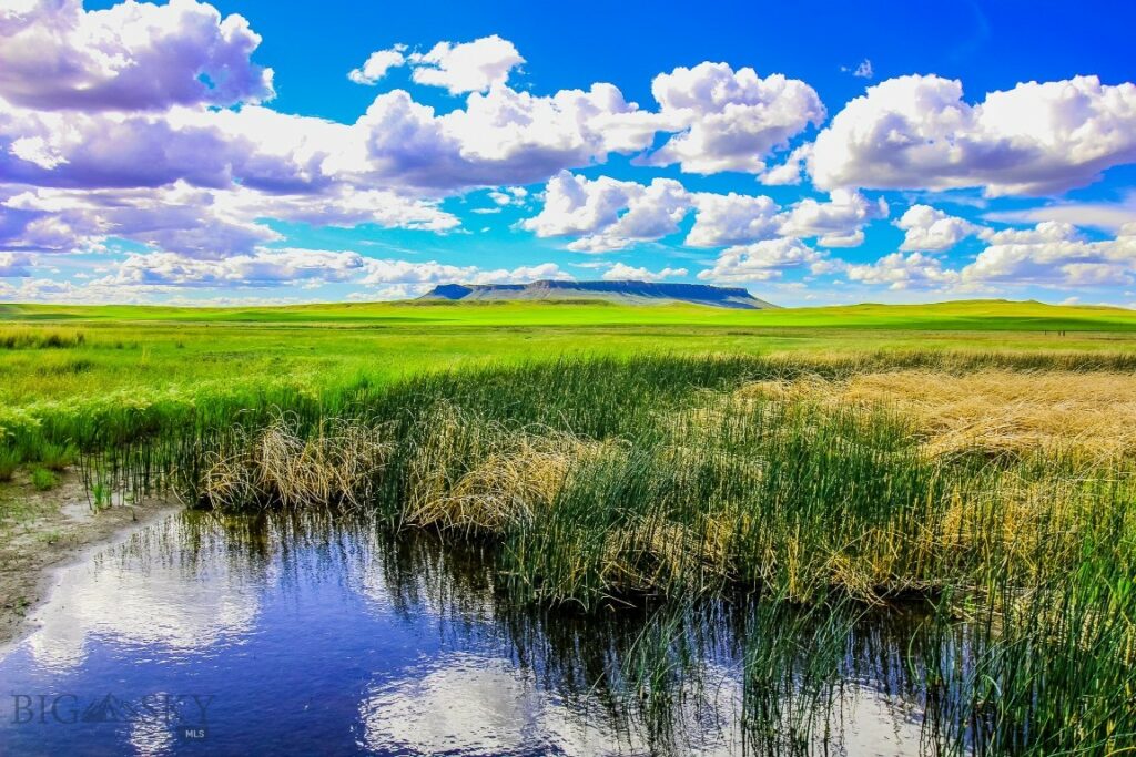 Muddy Creek Ranch, Cascade MT 59421