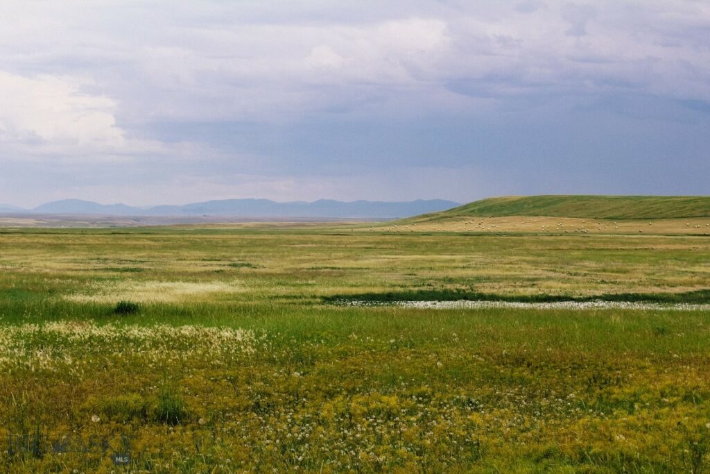 Muddy Creek Ranch, Cascade MT 59421