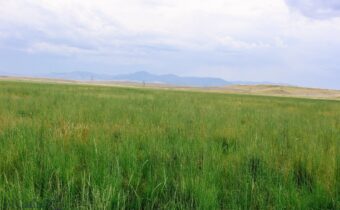 Muddy Creek Ranch, Cascade MT 59421