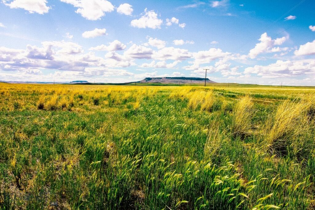 Muddy Creek Ranch, Cascade MT 59421