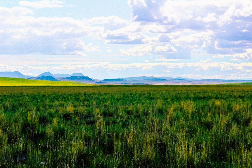 Muddy Creek Ranch, Cascade MT 59421