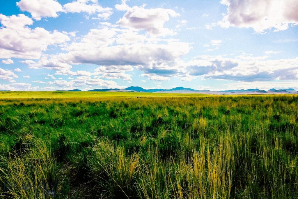 Muddy Creek Ranch, Cascade MT 59421