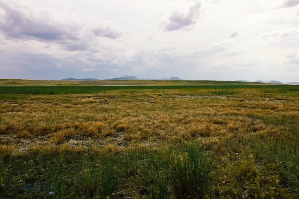 Muddy Creek Ranch, Cascade MT 59421