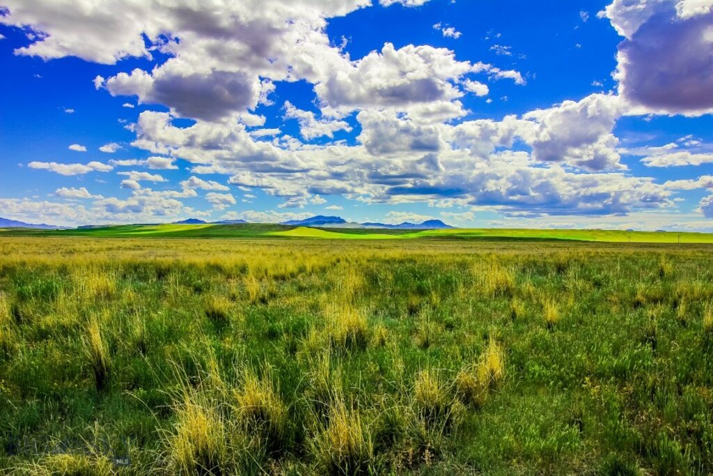 Muddy Creek Ranch, Cascade MT 59421