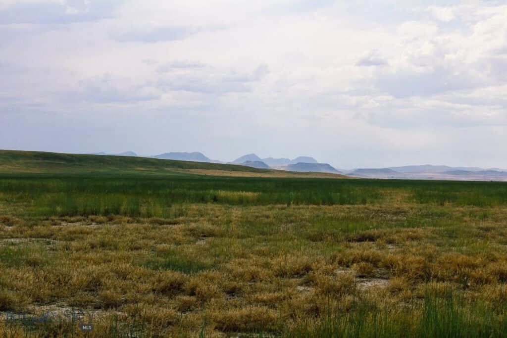 Muddy Creek Ranch, Cascade MT 59421