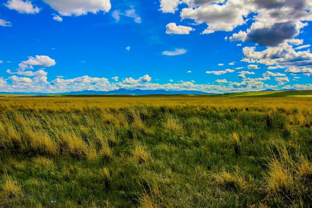 Muddy Creek Ranch, Cascade MT 59421