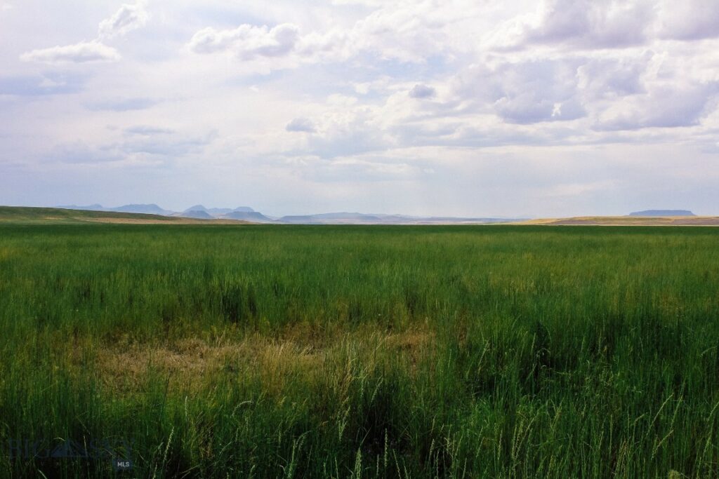 Muddy Creek Ranch, Cascade MT 59421