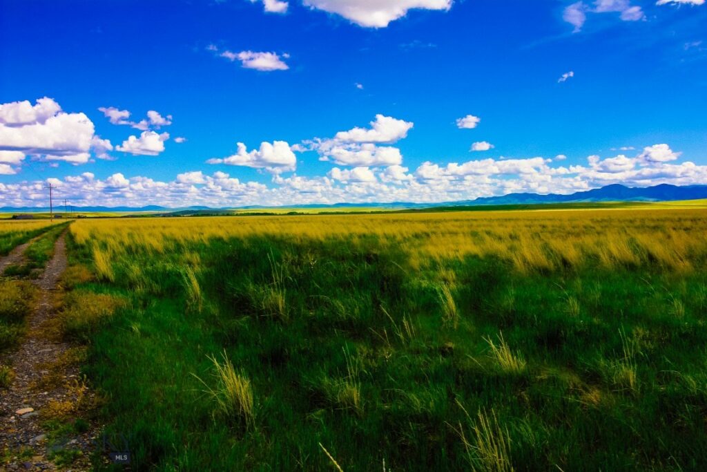 Muddy Creek Ranch, Cascade MT 59421