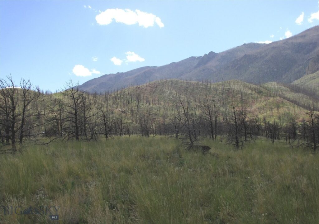 nhn Ranger Way, Red Lodge MT 59068