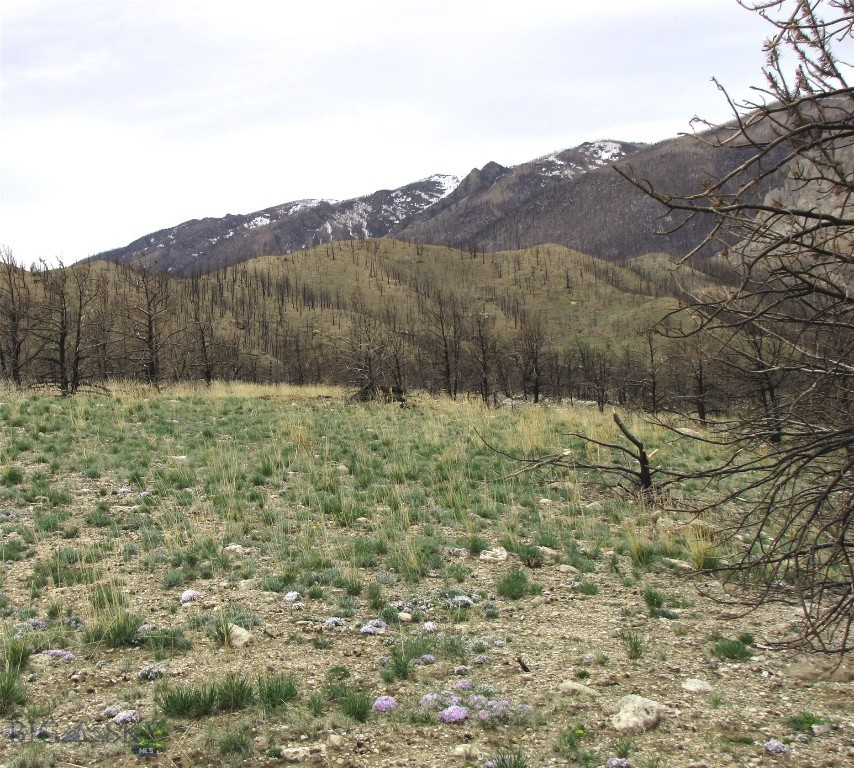 nhn Ranger Way, Red Lodge MT 59068