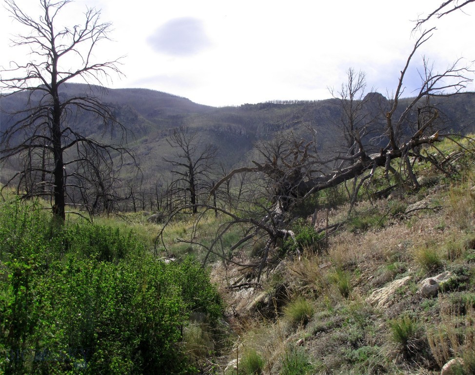 nhn Ranger Way, Red Lodge MT 59068