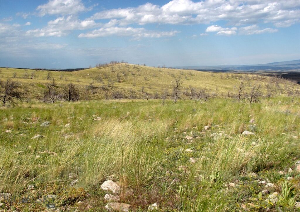 nhn Ranger Way, Red Lodge MT 59068