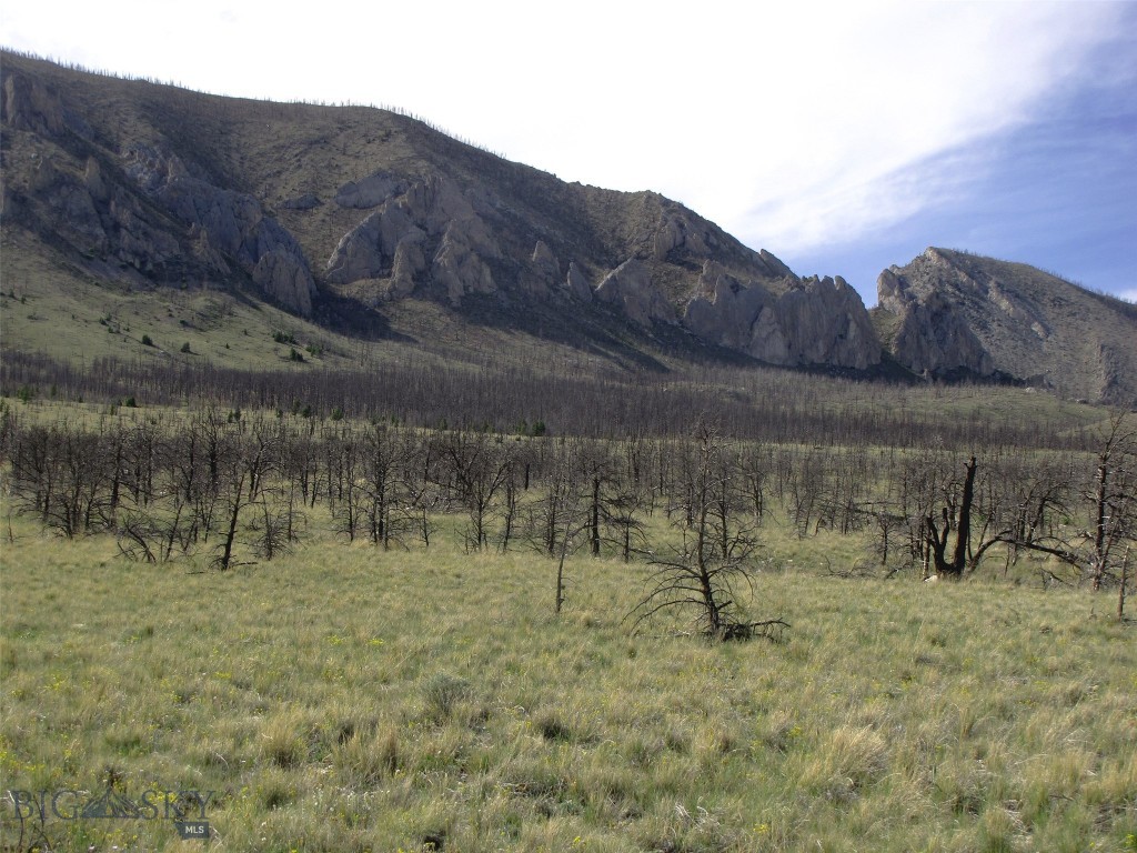 nhn Ranger Way, Red Lodge MT 59068