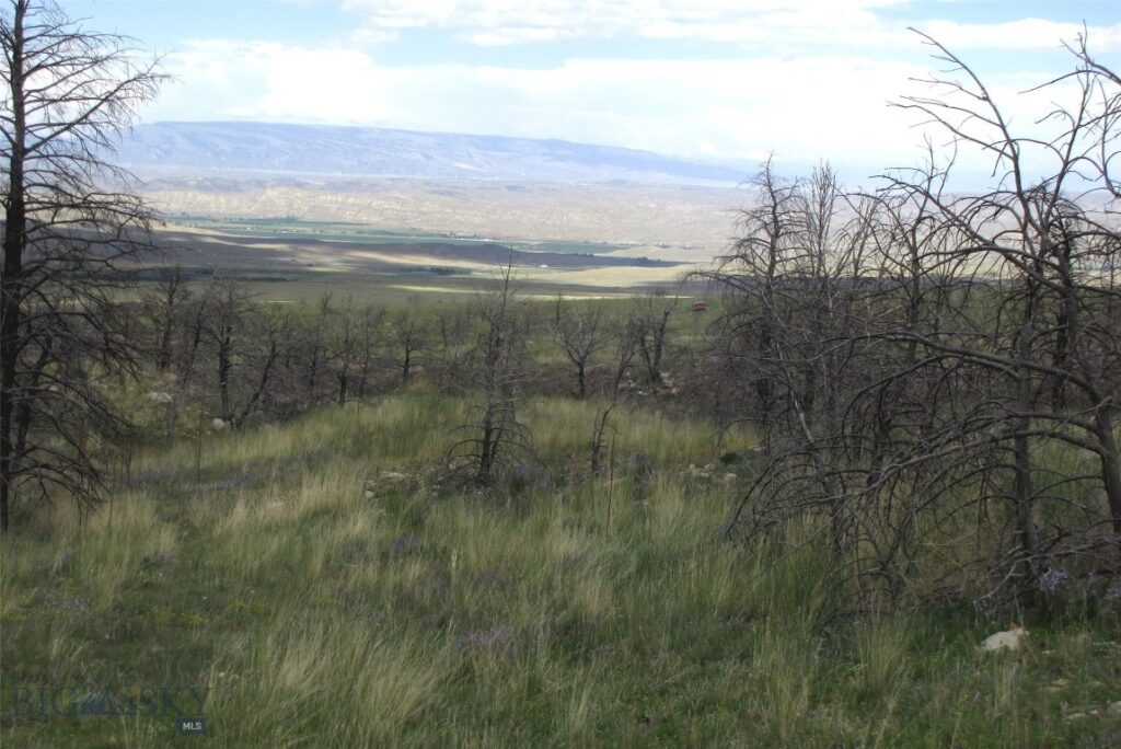 nhn Ranger Way, Red Lodge MT 59068