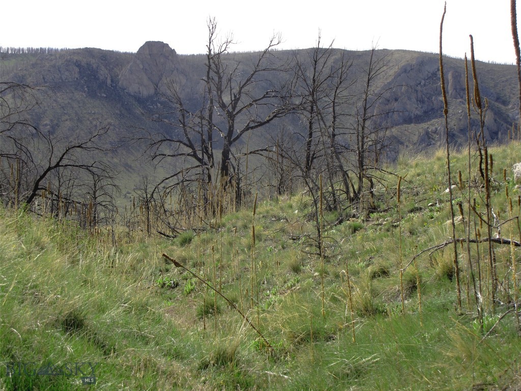 nhn Ranger Way, Red Lodge MT 59068