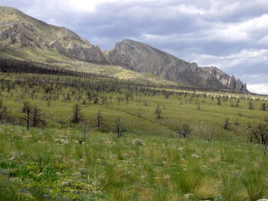 nhn Ranger Way, Red Lodge MT 59068