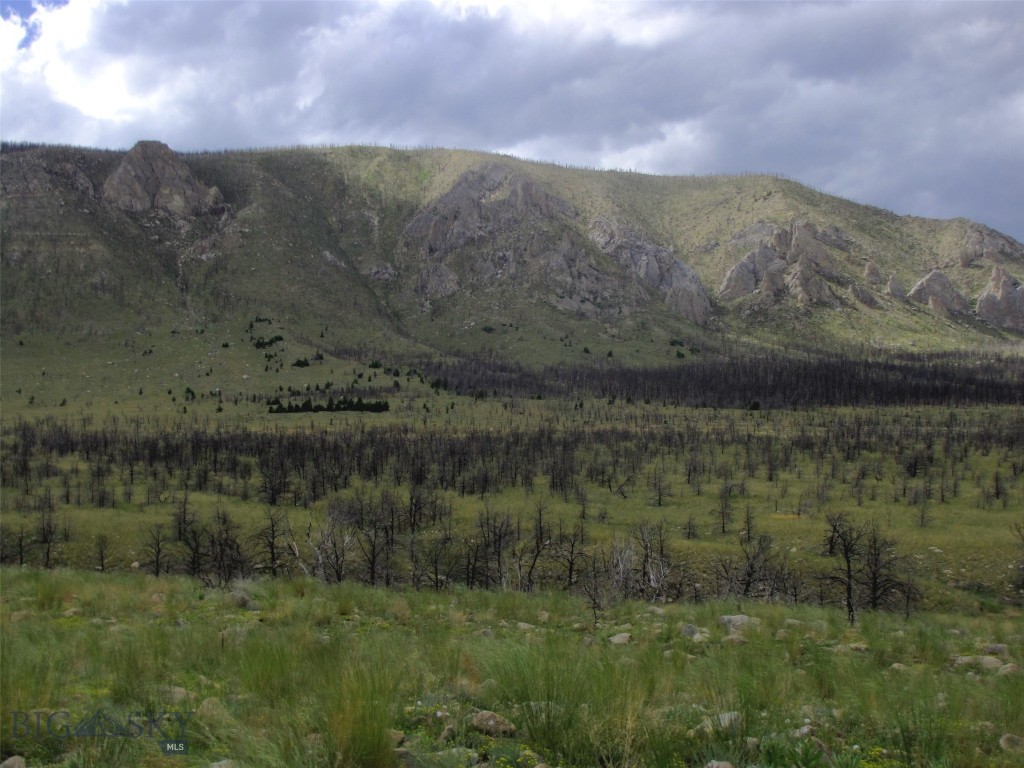 nhn Ranger Way, Red Lodge MT 59068