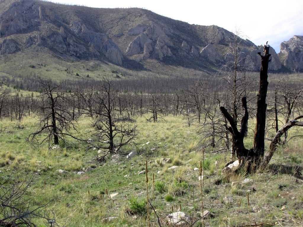 nhn Ranger Way, Red Lodge MT 59068