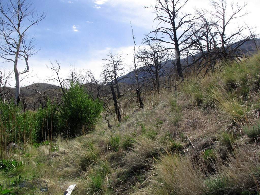 nhn Ranger Way, Red Lodge MT 59068