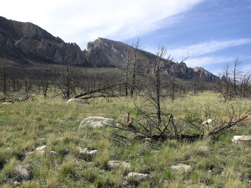 nhn Ranger Way, Red Lodge MT 59068