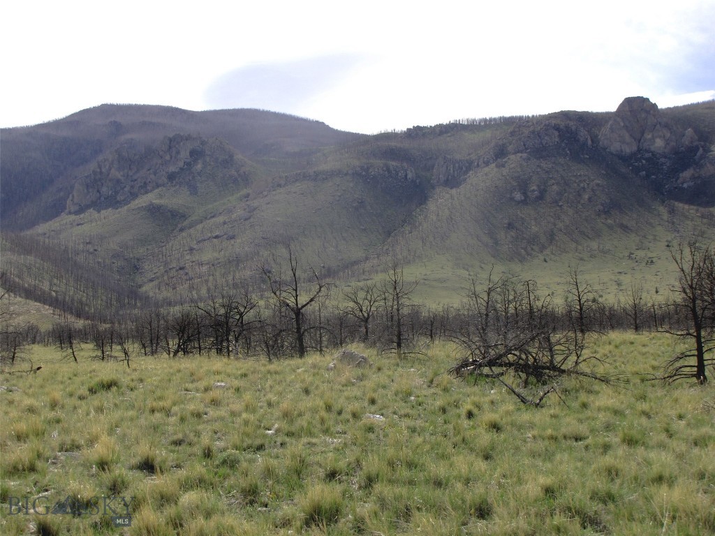 nhn Ranger Way, Red Lodge MT 59068