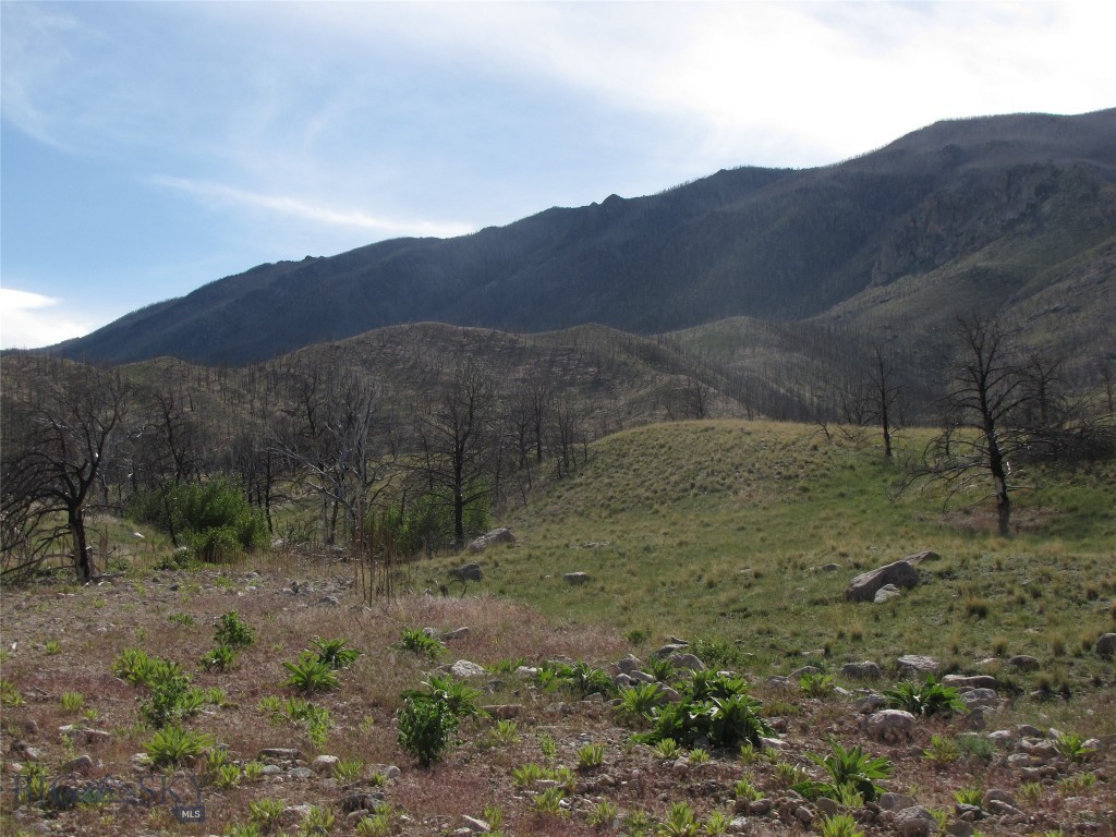 nhn Ranger Way, Red Lodge MT 59068