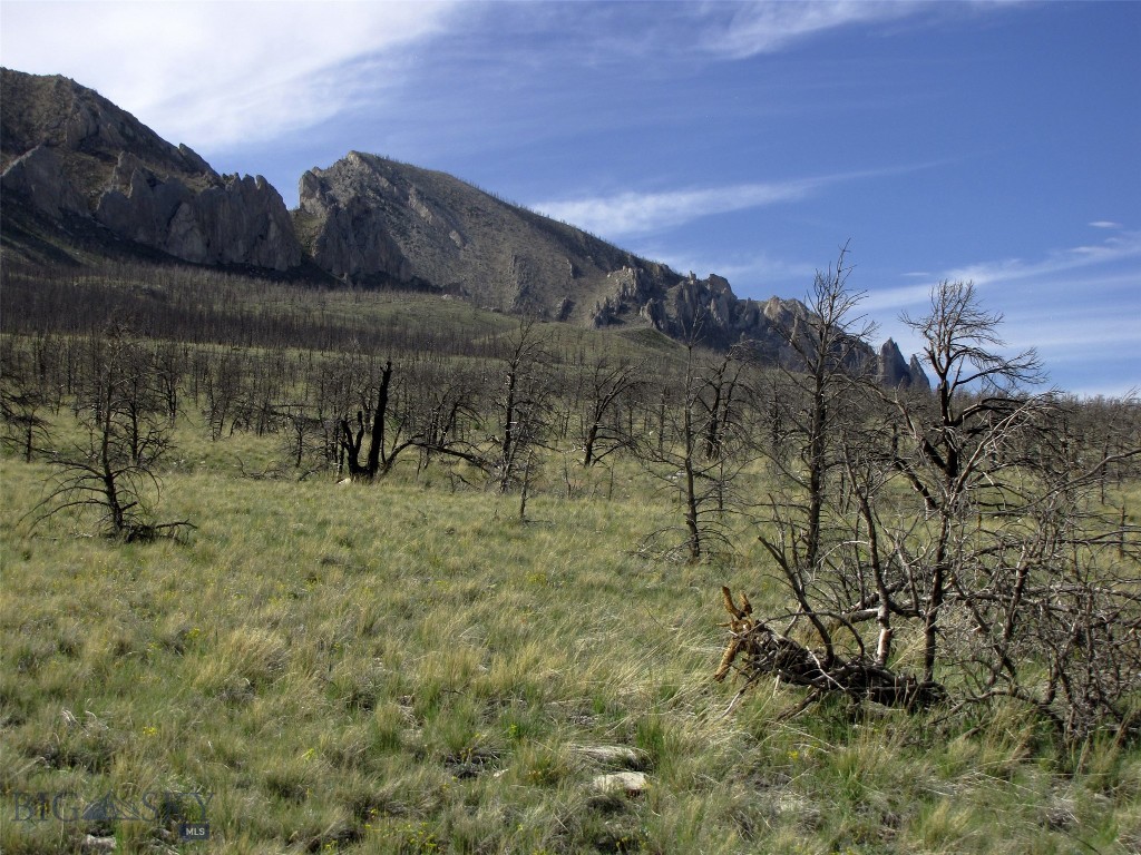 nhn Ranger Way, Red Lodge MT 59068