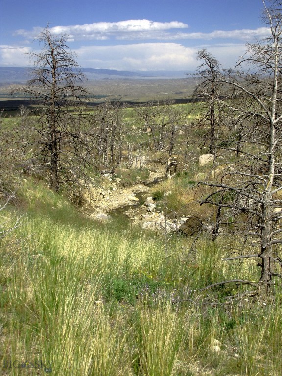 nhn Ranger Way, Red Lodge MT 59068